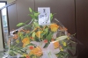 ＯＡランド川越さんからの岡崎・フローラ法律事務所の開店祝いのお花