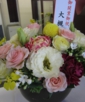 大槻隆弁護士からの岡崎・フローラ法律事務所の開店祝いのお花